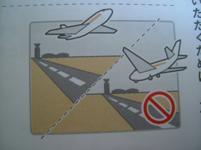 Illustration for article titled Hey Dummy, Don't Microwave The DSi (And Other Nintendo Tips)